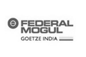 FEDERAL_MOGUL_GOETZ_INDIA_LTD