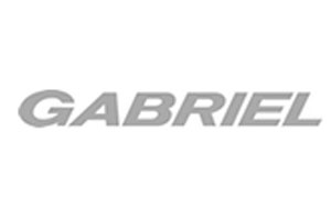 GABRIEL_INDIA_LTD