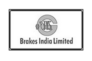 BRAKES_INDIA_LTD