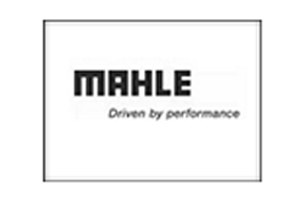 MAHLE_ENGINE_COMPONENTS_INDIA_PVT_LTD_