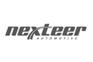 NEXTEER_AUTOMOTIVE_INDIA_PVT_LTD