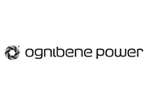 OGNIBENE_INDIA_PVT_LTD_LOGO